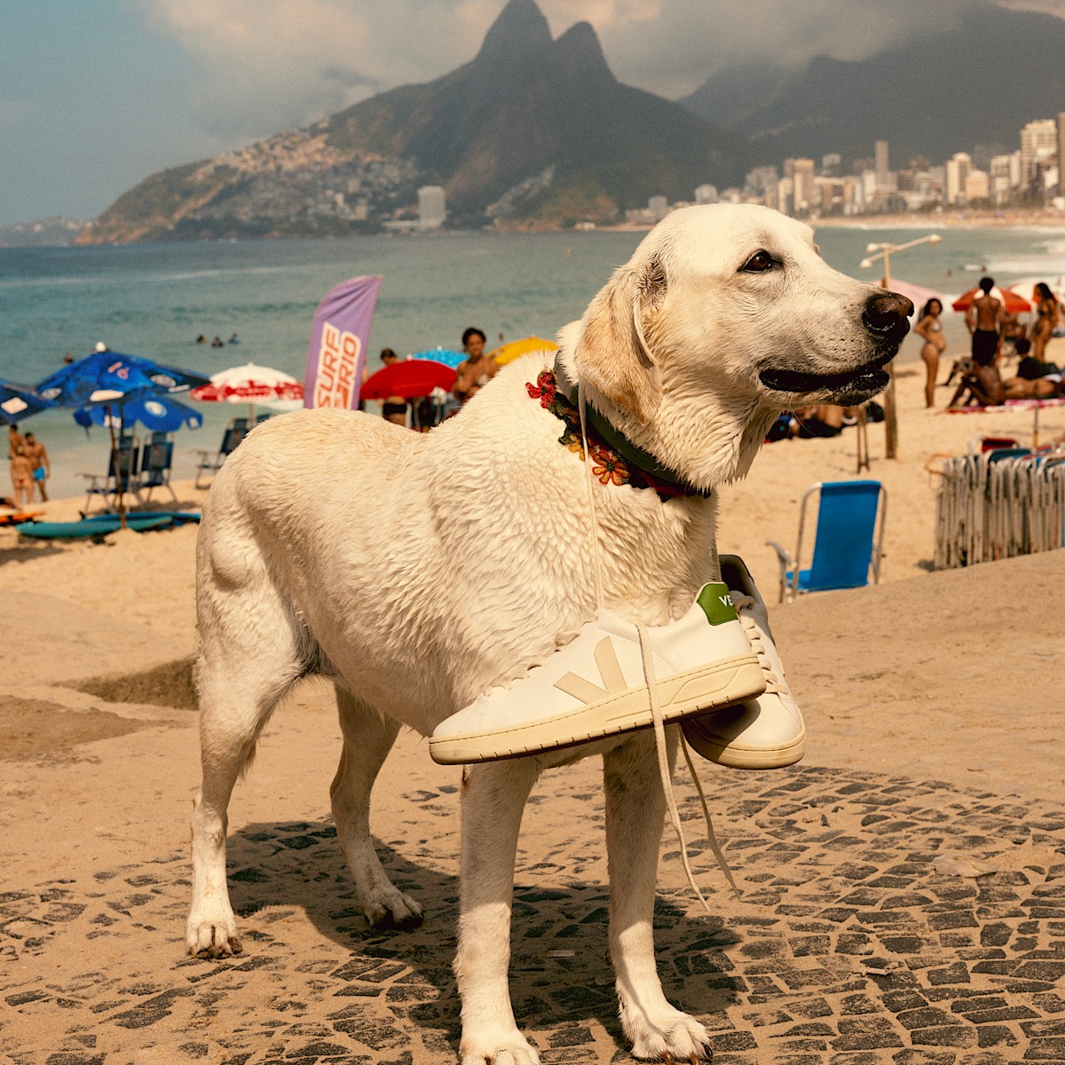 URCA CWL WHITE PIERRE KIWI - Image 5